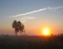 Morgen / ***