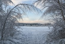 Januar / ***