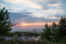 Fogly Morning / ***