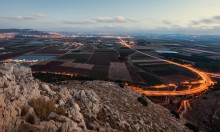 Israeli Tal / ***