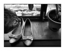 Blick / ***