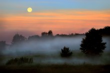 Eine Stunde vor der Morgendämmerung ... 4. / *************