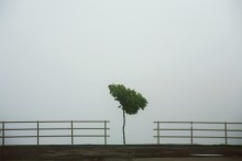  / spring