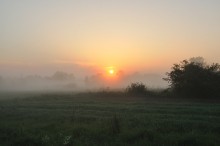 Sommermorgen / ***