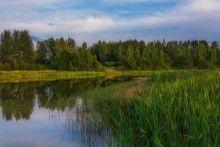 Abend auf dem See Petrovsky. / ***