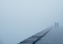  / fog