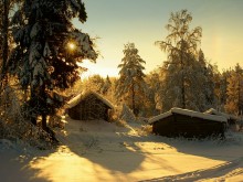 Taiga Wildnis ... / ***