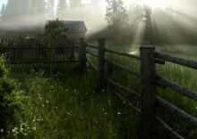 Von den frühen Morgenstunden gehen auf der Veranda ... / ***