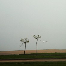  / fog