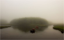 The foggy morning / ***