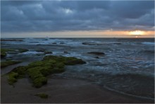 Palmachim Beach ... / ***