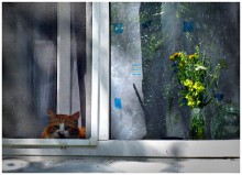 Ruhe Sommertag / ***