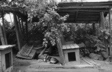 Das Warten / ***