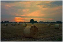 A summer sunset. / ***