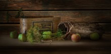 Stilleben mit Dill / +++