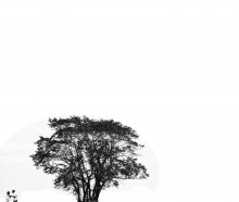 Angeln Geschichte / ***