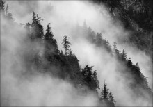 Diagonal Nebel / ***