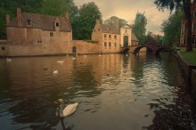 Bruges in the rain. / ***