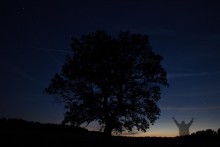 Nacht in der Eiche / ***