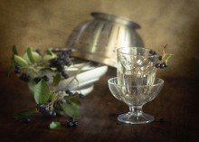 Mit Aronia ... / ...........................