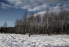 Januar Birch / ***