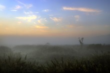 In der Morgendämmerung am Sabbat ... / *********************