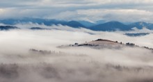 Foggy Küste ... ... / ***
