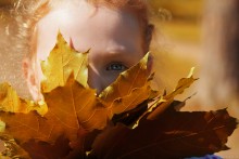 Herbstblatt / ***