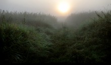 Gegen Morgen der letzte auslauf August ... 3 .. / **********************