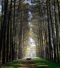 Wanderung / ***