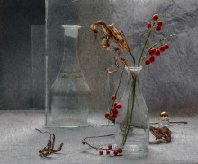 Aus der Serie "Zeit der Reife ..." / ...