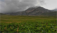 Lago-Naki / ---