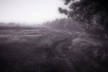 Silent World / Silent World