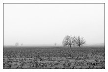 Melancholie / ***