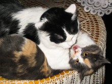 Und wenn es Liebe ist? / ***