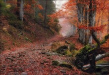 / Sleepy Hollow / / ***