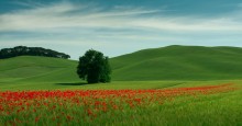Überlegungen zu Windows- / ***