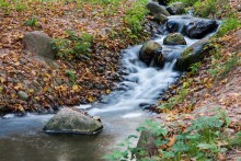 Herbst Bach / ***