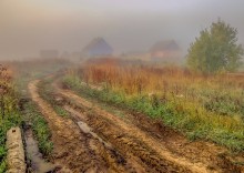 Auf der Straße mit Nebel ... / ***