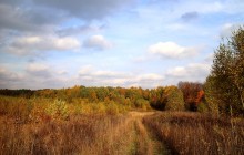 Straße zum Herbst / ***