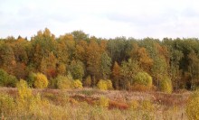 Herbstfarben / ***