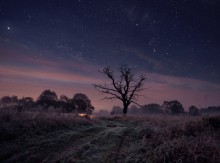 Sternenklare Nacht auf der Memel / ***