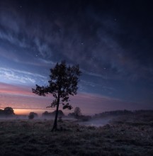 Herbst Nacht / ***