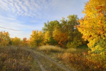 Leicht und komfortabel im Herbst. / ***