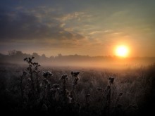 Die lang erwartete Morgendämmerung September ... / ***