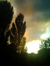 Aus dem Album "Shades of purple" / ***