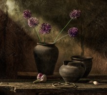 Allia ... / ***