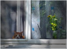 Cubby / ***