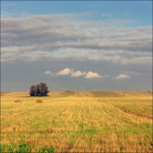 Über die Weichheit und Leichtigkeit des Sommers ... / ***
