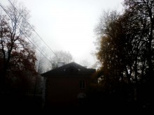 Morgen / ***